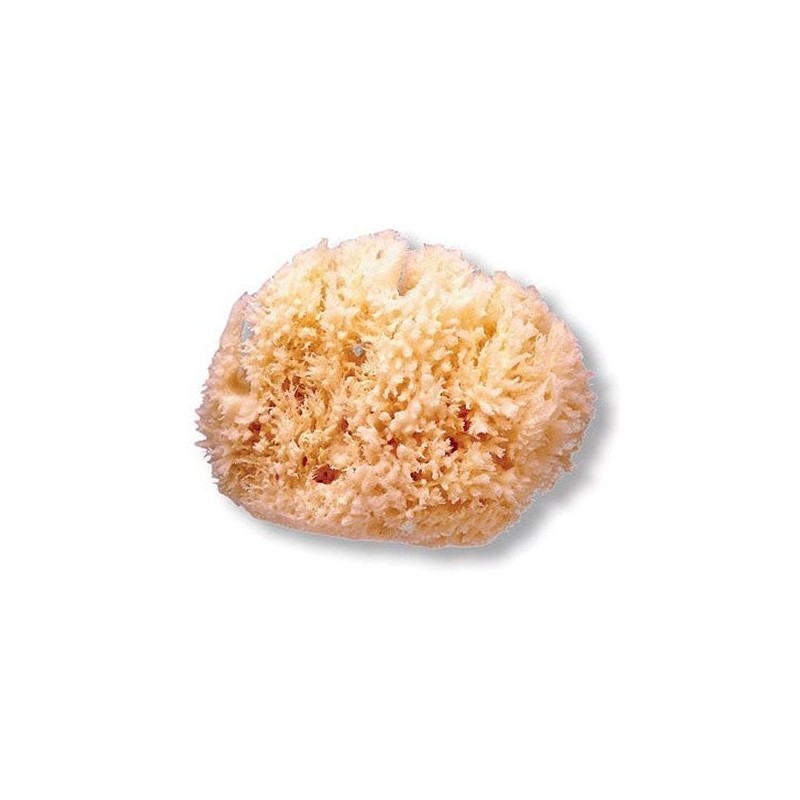 Suavinex esponja natural grande Suavinex - 1
