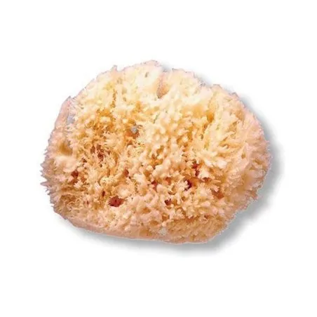 Suavinex esponja natural grande Suavinex - 1