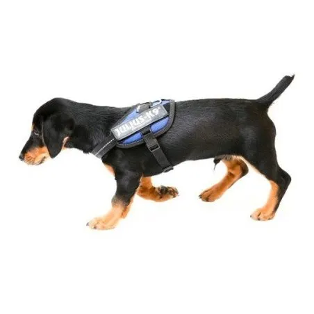 Julius arn&eacute;s idc 0 azul Julius - 1