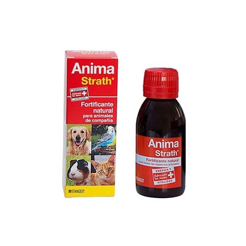 Stangest Anima strath 100ml Stangest - 1