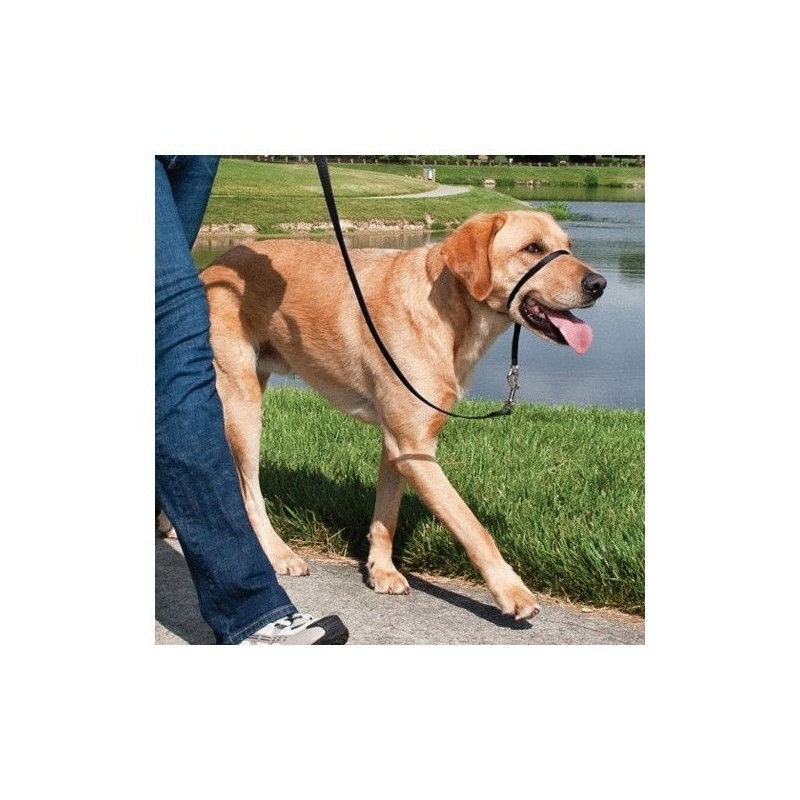 Easy walk collar de manejo para perros negro grande Easy Walk - 1