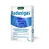 Benegast reduxigas 20 comprimidos Benegast - 1