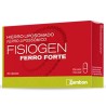 Fisiogen ferro forte 30 cápsulas Fisiogen - 1