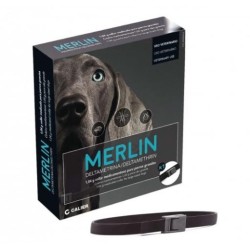 Collar para perros MERLIN  - 1