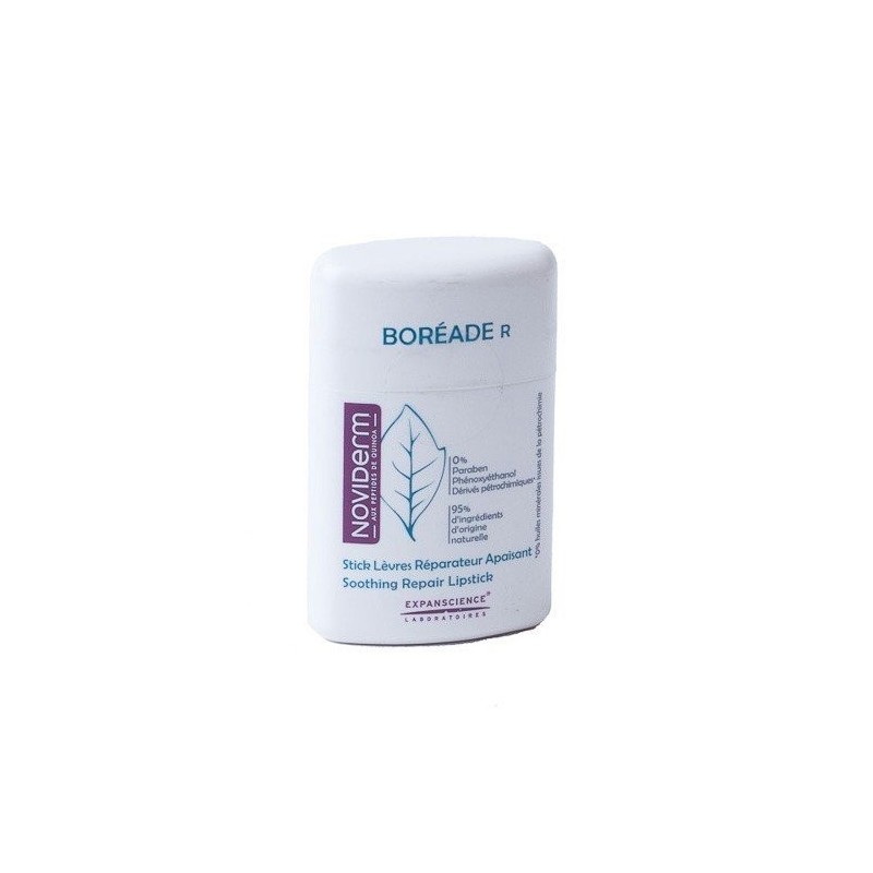 Boreade r stick reparador 9.2 grs. Boreade - 1