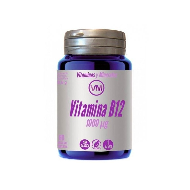 Ynsadiet vitamina b12 1000u 60 capsulas Ynsadiet - 1