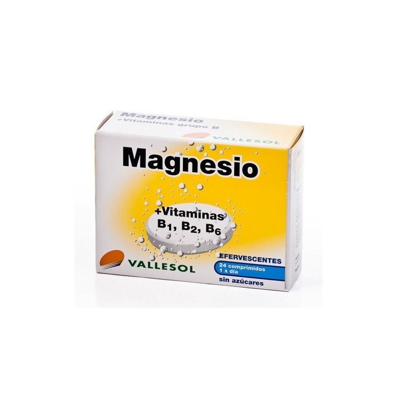 Vallesol magnesio 24 comp. efervescentes Vallesol - 1