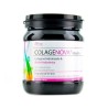 Colagenova colágeno + hialurónico fresa 390g Colagenova - 1