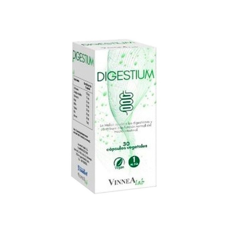 Ynsadiet digestium 30 cápsulas Ynsadiet - 1