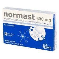 Normast 600 mg. 20 comprimidos