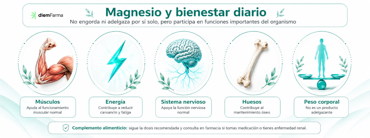 Infograf&iacute;a sobre magnesio y bienestar diario con sus funciones en m&uacute;sculos, energ&iacute;a, sistema nervioso, huesos y peso corporal
