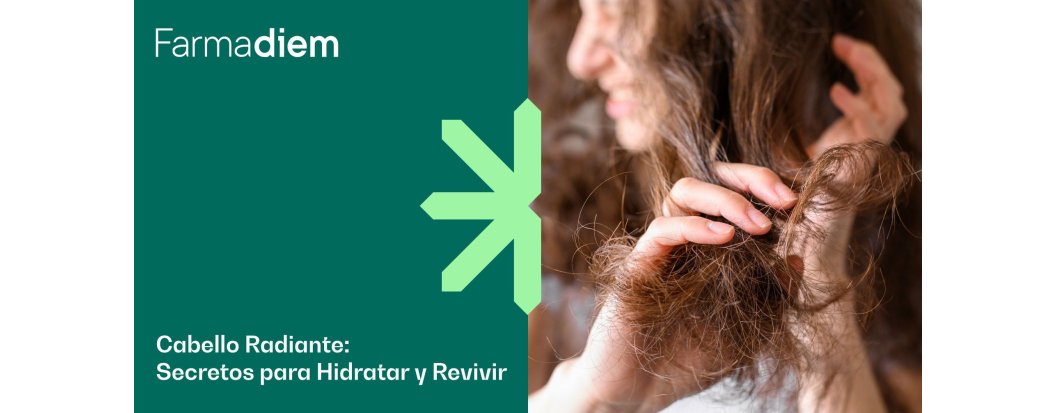 &iquest;Tienes el cabello seco? &iexcl;Aprende a cuidarlo!