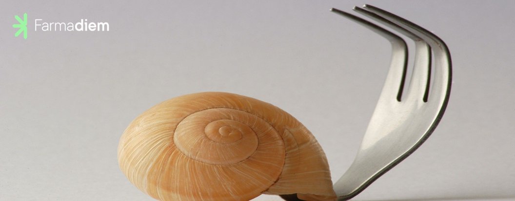 C&oacute;mo mejorar tu digesti&oacute;n: Consejos para combatir las digestiones lentas