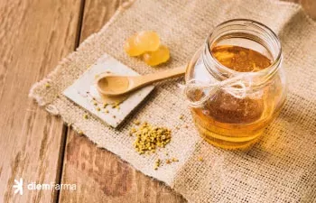 Conoce las asombrosas propiedades del propóleo para la salud