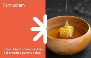 Propiedades del propóleo para la salud que debes conocer